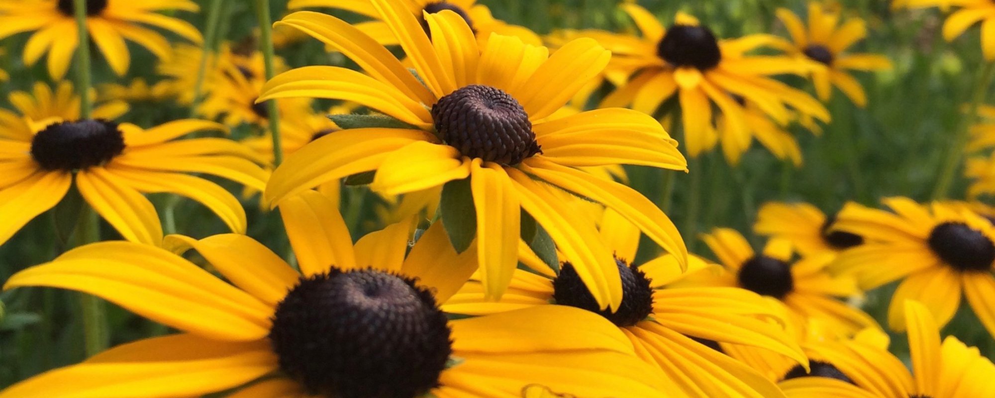 Dentist Cresskill NJ Cosmetic Dentistry